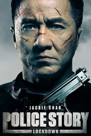 Police Story – Sotto controllo (2013)