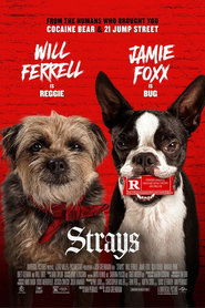 Strays
