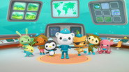 Les Octonauts en streaming