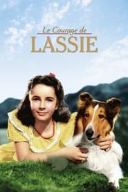 Le Courage de Lassie streaming