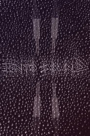 Into Sound