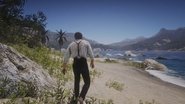 Chapter V: Guarma