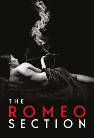 Poster The Romeo Section - Season 1 2016