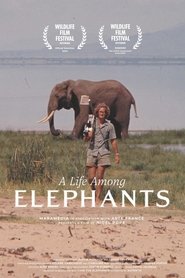 A Life Among Elephants (2024)