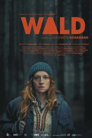 Poster Wald