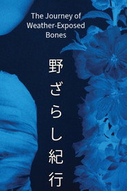 The Journey of Weather-Exposed Bones