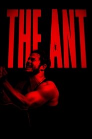 The Ant (2025)
