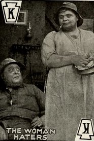 Poster The Woman Haters 1913