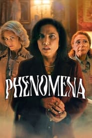 Poster Phenomena 2023