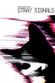 Stray Signals (2025)