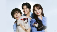 Love is for the Dog