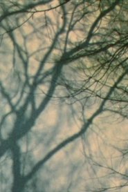 Poster In a Tree’s Shadow II 2011