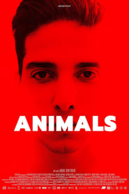 Animals постер