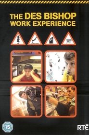 The Des Bishop Work Experience (2004)