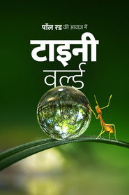 Tiny World Season 1 23