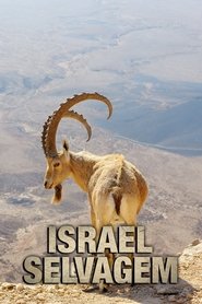 Wild Israel