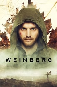 Weinberg – The Valley