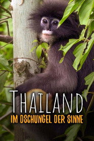 Thailand - Im Dschungel der Sinne