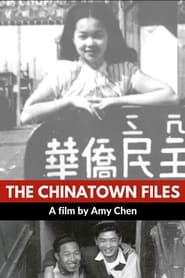 Poster The Chinatown Files