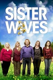Sister Wives (2010) Sister Wives (2010)