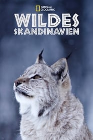 Wildes Skandinavien