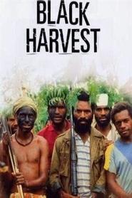 Black Harvest 1992