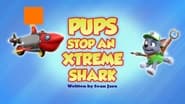 Pups Stop an Xreme Shark