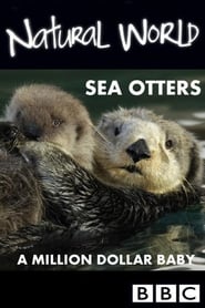 Sea Otters: A Million Dollar Baby streaming