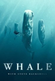 Whale with Steve Backshall (2023)