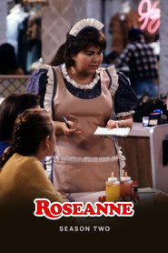 Roseanne Season 2 6