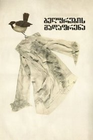 Poster Migrating Sparrows 1980