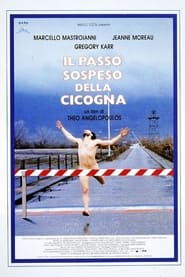 Il passo sospeso della cicogna