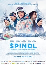 Spindl постер