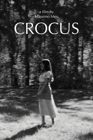 Crocus