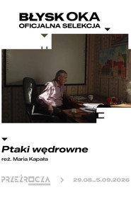 Ptaki Wędrowne
