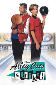 Alley Cats Strike