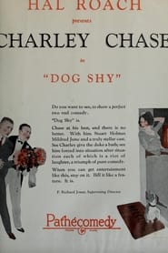Poster Dog Shy