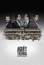 Here on Earth poster