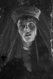 Jeannie Stevens