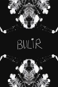 BULIR 2024