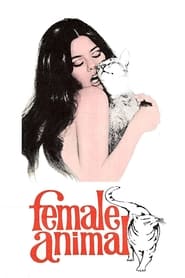 Female Animal постер