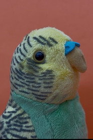 piet