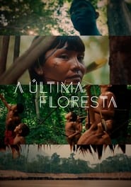 Poster A Última Floresta