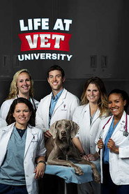 Life at Vet U постер