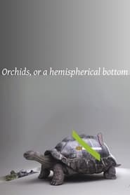 Orchids, or a hemispherical bottom