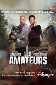The French Mans постер