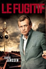 Voir Le Fugitif serie en streaming