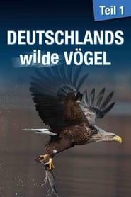 Poster Deutschlands wilde Vögel - Teil 1