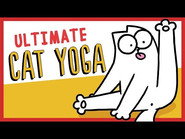Guide to Cat Yoga