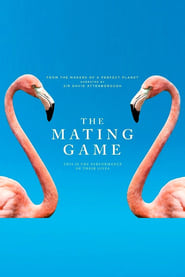The Mating Game Saison 1